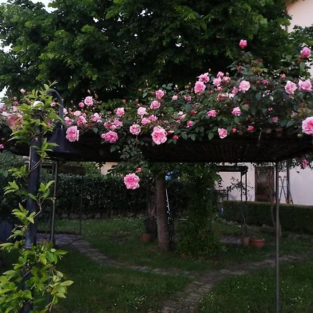 Happy Family B&B Viggianello Exterior photo